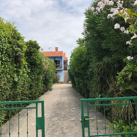 Daire Cvita Gruen - A45619 Zadar