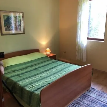 Cvita Gruen - A45619 Daire Zadar