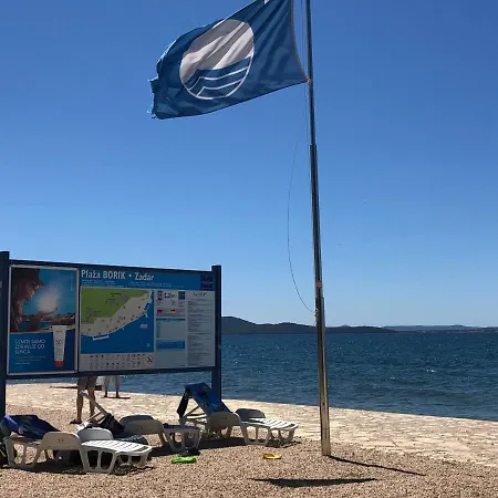 Cvita Gruen - A45619 Daire Zadar